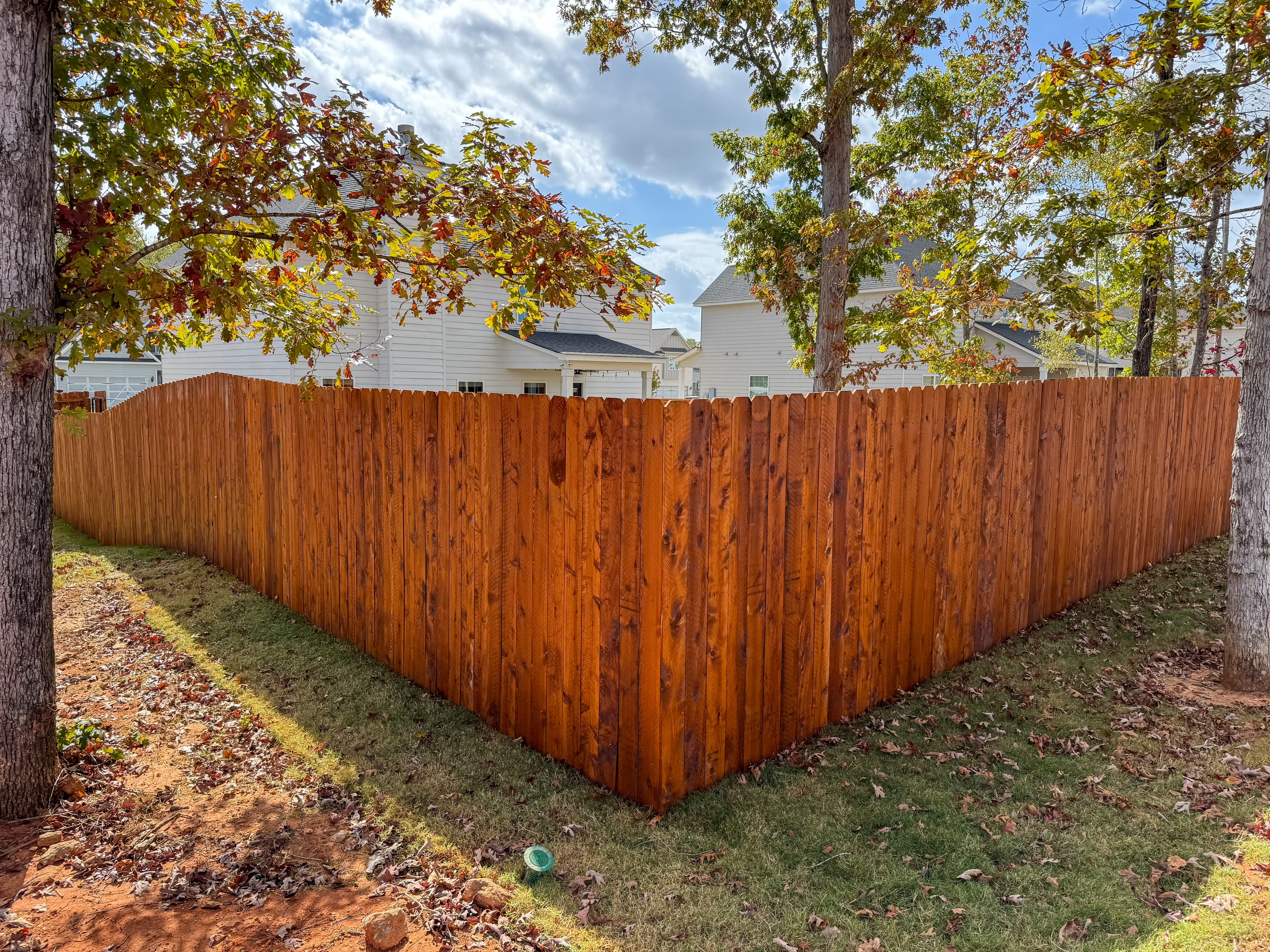 Stained privacy fence