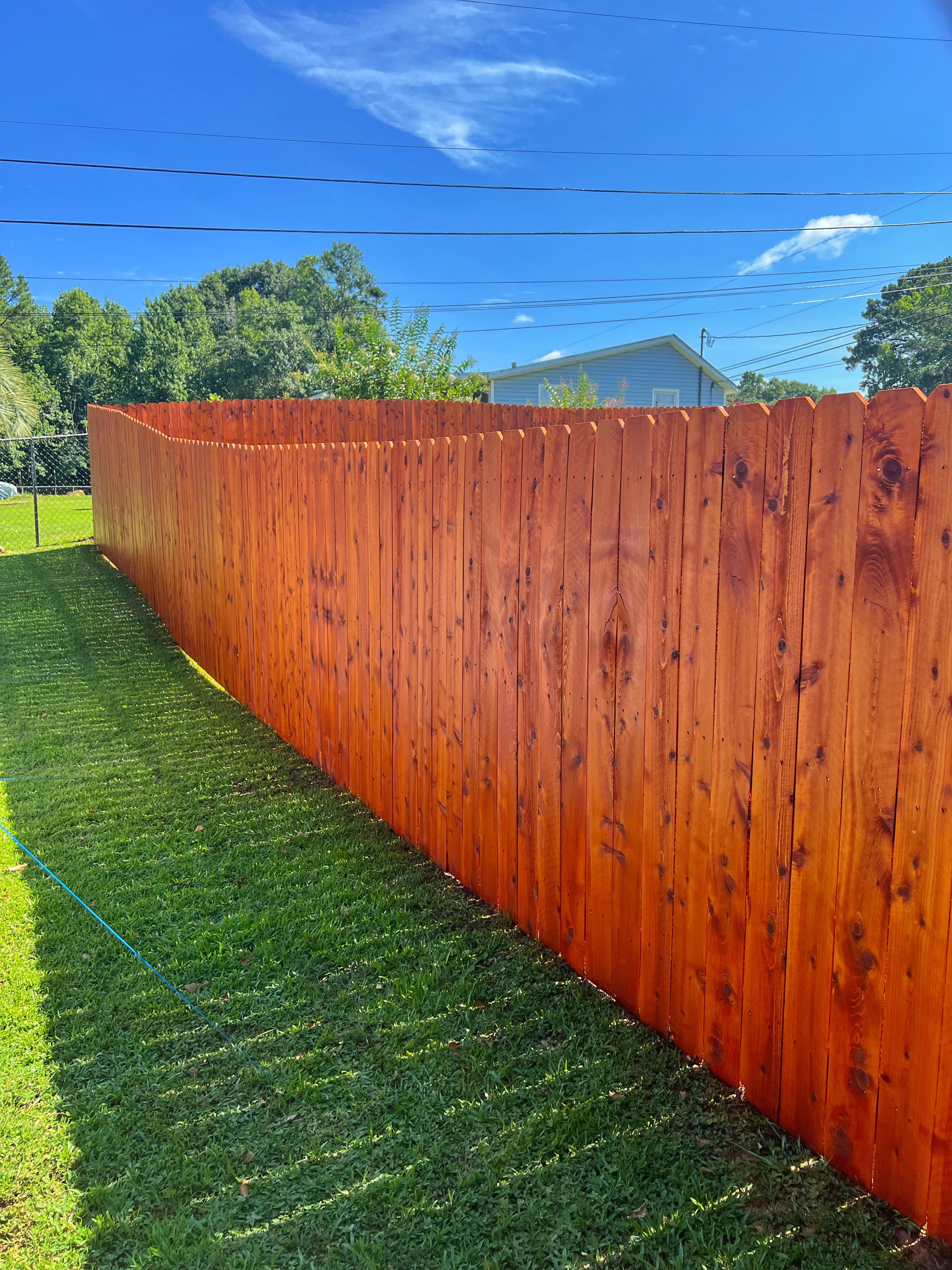 Stained privacy fence