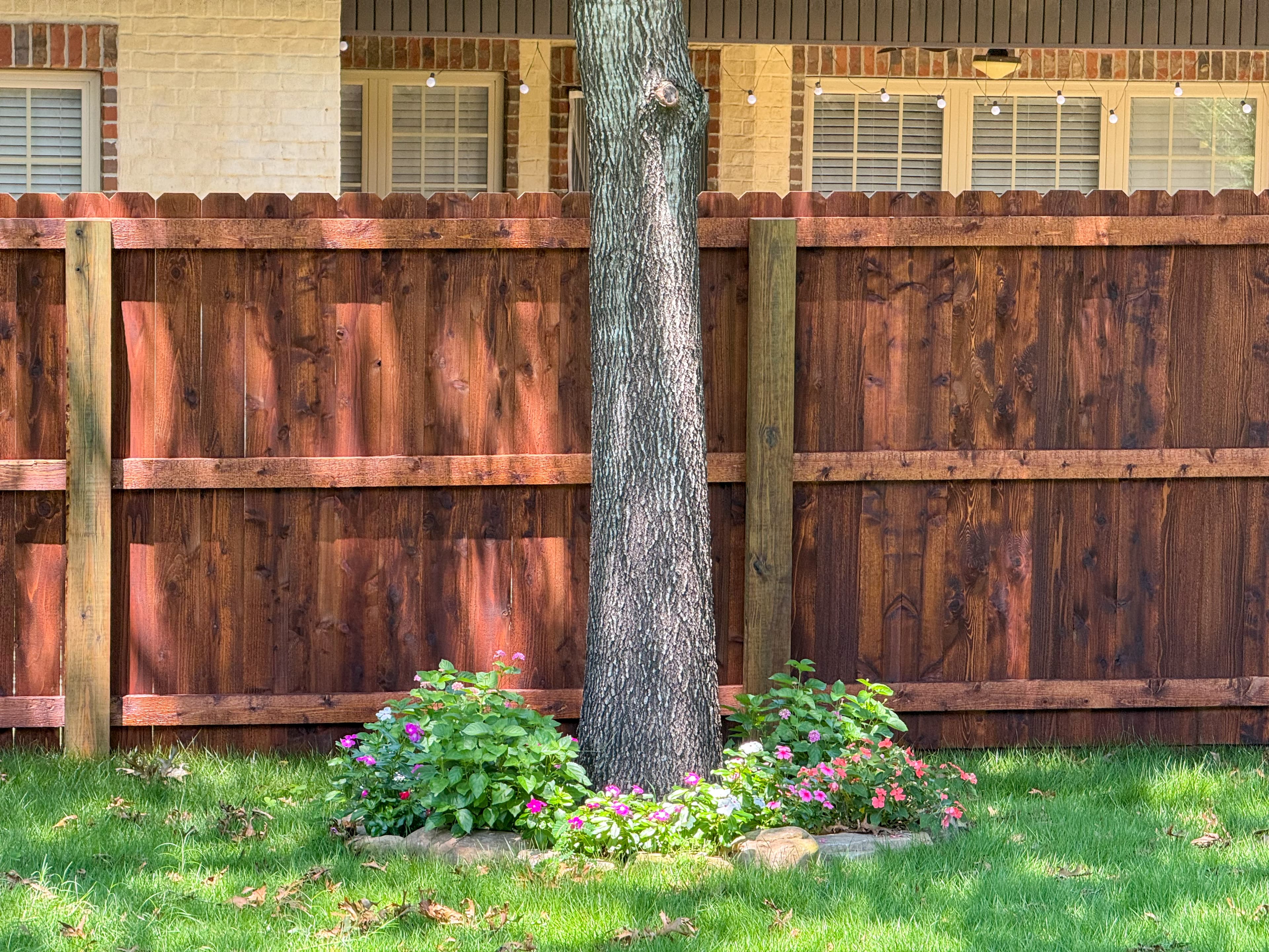 Stained privacy fence