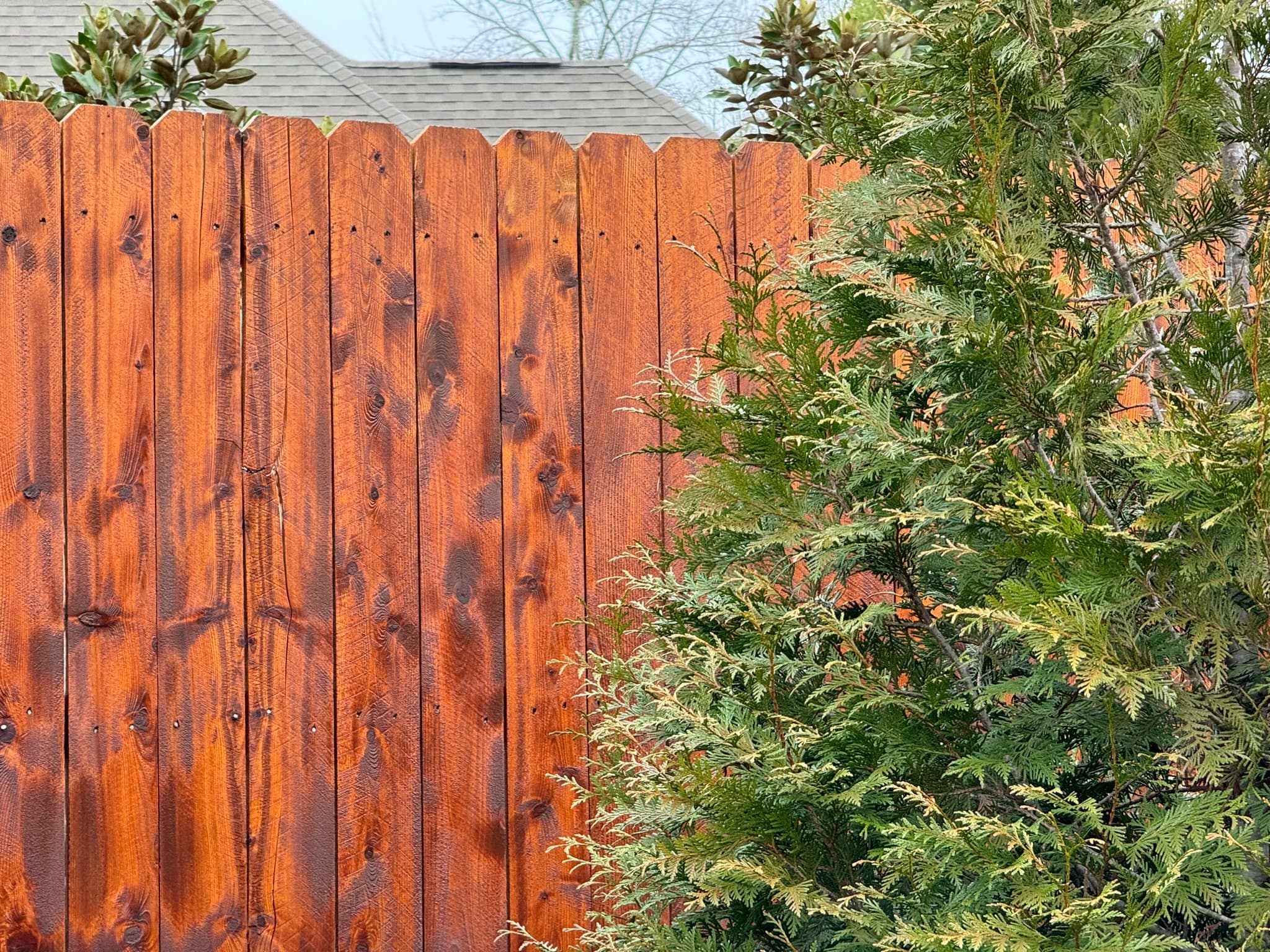 Fence Staining in Auburn, AL