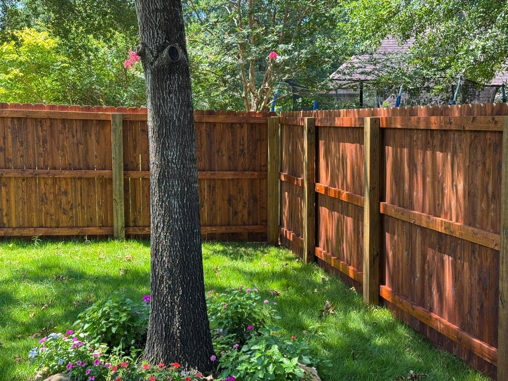 Backyard fence stained in Chestnut