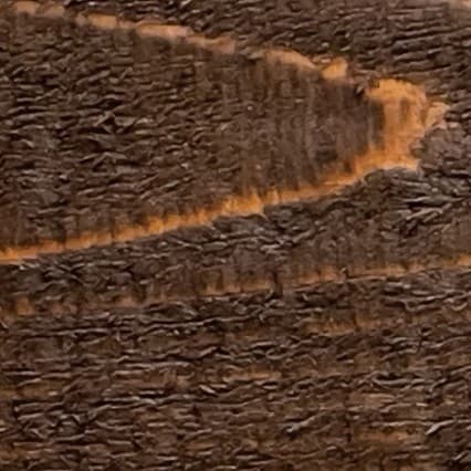 Chocolate stain color swatch