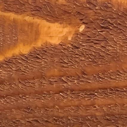 Pecan stain color swatch